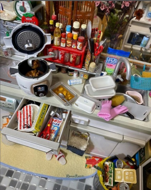 �S�~���̒��ɒ��ځI�J���[���[�̊O���Ɨe�킪�I�i�����@xcxhxixhxox1016x�j