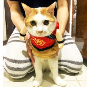 �u�X�[�p�[�L�̓��v�ɗ��������L�A���슈���x���g�����h�Œ��Ԃ��~���c�q�[���[�L�E�����Y�ɓ`�������u���肪�Ƃ��v