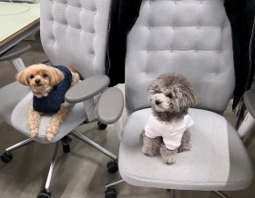 1��1�Ȃ��p�ӁA�����傳��ƈꏏ�ɏo�Ђ���Ј����̈��