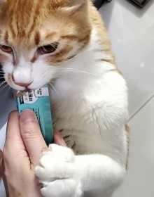 �u�����͐������Ȃ��v�ƌ���ꂽ�S���a�̎q�L���؍����X�ɁH �V�̐����������g��Ղ̎q�h