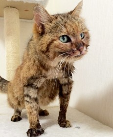 �u��������ςȂ��ƂɁI�v���ꂫ���ĕی삳�ꂽ�L�A�}�����Ƒ��ɍK���Ȏv���o�̂����u�o����Ă���Ă��肪�Ƃ��v