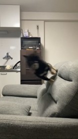 �Č��ɒǂ��������鋰���c�Ȃ������Ȃ����H