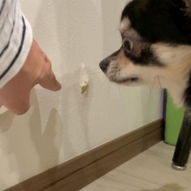 �u�����c�l�ЂƂ�ŐQ���ł����c�v�Q��O�̃`�������h��]�h�������R�Ƃ́H