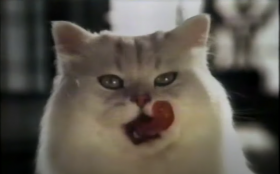 �a������35�N�́w�����v�`�x�@�g�Ƒ��h�ɂȂ����L�̐H���j�[�Y�����������헪