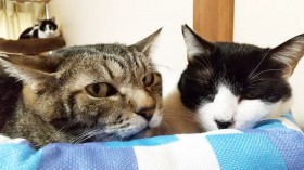 �u�ׂ͌N�̋��ꏊ�v3�N�Ƃ��ɂ������_�S�������ی�L�A�󂯂��X�y�[�X�ɗ܂��~�܂�Ȃ�