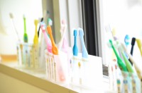 �m���Ă��H���u���V�̌��������͌�1��A�������́u�傳��1�t���x�v�̏��ʂ̐����œK�@���Ƃ̌���