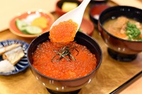 ��H���[���������ɒ��H������H�ו���c �g�S��200�{�݁h�𐧔e�����T�E�i�D�����I�ԃR�X�p�ŋ��z�e���u�_���Ă��v