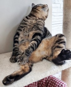 �u���ɂ�����������Ă�H�v�g���񂾂���X�^�C���h�̂�������ی�L�A10�N�ł���Ƃ��񂾐Ԃ���