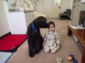 �u��p�͕|�����ǃ~�J�ƂȂ�c�v�a�Ɠ���4�Βj���x�����a�@�Ζ����̉ʂ��������u�ނ�͐l�ԂƂ̊֌W�ł͂ł��Ȃ����Ƃ��\�ɂ���v