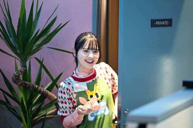 �w�A�g���̓�(��)�x�ɏo������я����iC�jTBS