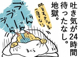 �`���Ȃ��d�ǔD�P���j�̋ꂵ�� �v�Ə��z�������X�𖟉扻