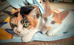 ���p�Łu�����o�L�o�L�v���犮�S���������q�L�A���΂��L�ƒ��ǂ�����