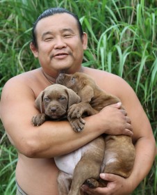 �����ی�̖����ɗJ���c�p���N���c����u��l�ł������ɋ����������l��������Ȃ�A�l�́g����������h�ł����v