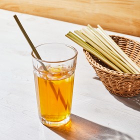 �g���S�n�͂͂܂�Ńv���H ��w���J���́g���X�g���[�h���S���Ɋg��u���_��A���ĂĘm�v