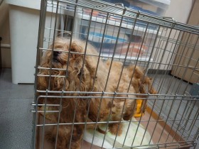 ���ꂽ�h���b�h��Ԃ̌����ی삳��ӂ�ӂ�Ɍ��ρA���������ڂ��������߂�