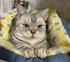 �u���[�_�[���󂩂�~��ꂽ�g�Ԃ��J���h�L�A�₵���ߋ��̋L�����u�K���ŏ㏑�����Ăق����v