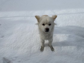 �����̒��ŏ���c!?�@�����傳��������������A�����̍s��