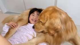 �S�[���f�����g���o�[�Ə��̎q�̂���ꍇ�������800���Đ�