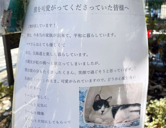 僕を可愛がってくださった皆様へ＞…「猫からの手紙」が生んだ、住民との心の交流にほっこり | ORICON NEWS