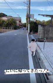 �w�Z�A��̌Z�ɖ��ʂ̏΂݂ŋ삯���1�Ζ��̎p�Ɋ����̐�