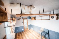 �u�󎺂��炯�̒��݃}���V�����������Ɂv�L���m�x�����g�L�����h���b��A�PK�Łg3�C����h�̊󏭕�����