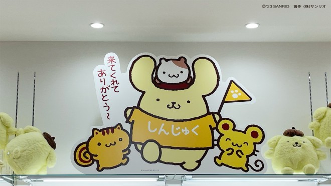 4��1���Ƀj���[�I�[�v�������wSanrio �V�h�X�x�ɂ̓v�����̃��C�A�E�g��