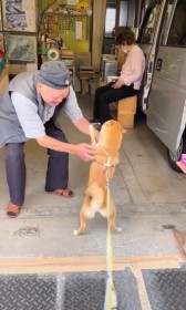 �u�O�����l�������c�H�v���S���̃I�b�`�����Ɍ�������������Č�