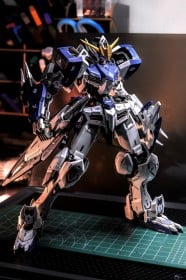 �g�o�Y��h�K���v���Ƃ́H �q���C�b�N�ȃK���_���E�o���o�g�X�ɏ܎^�̐��A�l�C���f���[���������錍