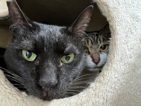 �ی�L����10�N�A����Ɛl��ꂵ�čK����������c�Ƒ��ɊŎ��ꂽ�L�̍Ŋ��̎���