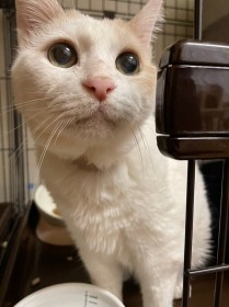 �u���H���x���I�v�P�[�W����o��O�E��ňႢ�����̘V�L�A�s���|�ꐡ�O�������L�̏Ռ��r�t�H�[�A�t�^�[