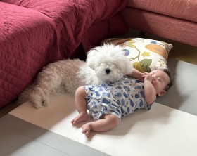 �ˑR�����~�񂾐Ԃ����A�Y���Q�����񂱂̎p�ɔ���