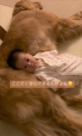 ベッドでは泣いちゃうのに…わんこのお腹だと泣き止む赤ちゃん