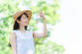 �c�������Ȃ��g���h���ꍭ�h�A���オ�����鐳�����P�A