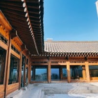 �؍��ɍs���Ȃ�m���Ă��������I��`����\�E���s���ւ̈ړ���i�A��������!?�y�n���O�NTIMES vol.114�z