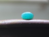 ���������H�H�@�܂����́g���́h��SNS�V�u���R�E�ɂ���Ȃ�Đ_��I�v�u���݂��ׂĂ������v