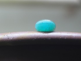 ���������H�H�@�܂����́g���́h��SNS�V�u���R�E�ɂ���Ȃ�Đ_��I�v�u���݂��ׂĂ������v