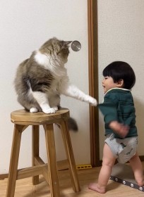 1歳児を見守る“シッター猫”とのじゃれ合いに国内外から反響