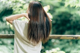 �V�����v�[�̂������H �Ԉ�������@�Ŕ�������5�̗��R