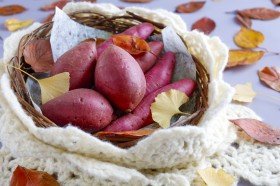 ���܂����́g���Ȃ�h�͏L���Ȃ����Ė{���H �Ǘ��h�{�m�����