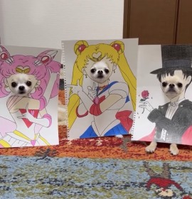 �Z�[���[���[���`������448���Đ�