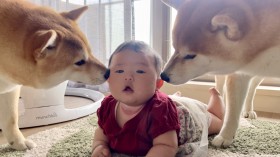 0�ΐԂ����ٕ̈ςɋC�Â����āu���o�����Ԃ�ɋ����I�v