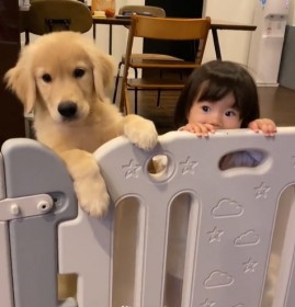 ���̂ق����傫�������̂Ɂc1�N�ŋ}���������S�[���f�����g���o�[�q���̑����u10�N���z�����Ċ��S�[���v