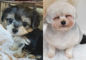 �����������������肪�c���̂܂ɂ��ʂ̌��ɑ�ϐg�H