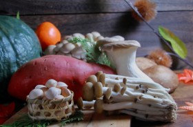 �Ȃ��H�ɂȂ�ƐH�׉߂���H�@�����́g�G�l���M�[����h�@�{�̐H�ނŃ_�C�G�b�g����ɂ́y��t�ďC�z