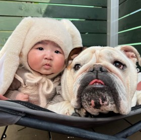 �ꏏ�ɂ������Ď��Ă����c�H 0�Ύ����u���h�b�O�̃R���r�ɔ���