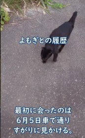 �������񂪖�ǔL��ی삵����5�C�̕�������