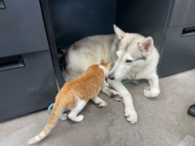 �s�K�������I�I�J�~���Ǝq�L