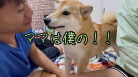 �u�}�}�͖l�́I�v���t��b�����̂悤�Ƀu�`�؂��Č��A���i�����Łh�������Ȃ��킢�h