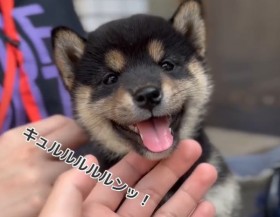 �y�q���̐����͑����z���肪�ł���悤�ɂȂ������Ďq���A���Z�����̋�����^���ɕ��������p�ɃL����