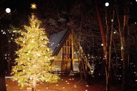 �N���X�}�X�C���~�͌y���̋���Łc�X�ƃL�����h���̍��؃R���{�A��l�C�C�x���g�����N���J��